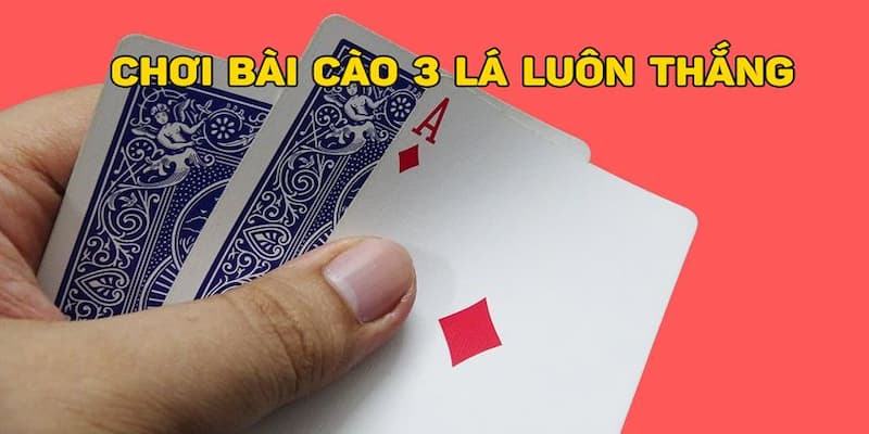 Bạn có thể chọn cược theo những hành động trên