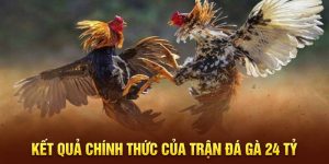 Kết quả chính thức của trận đá gà 24 tỷ