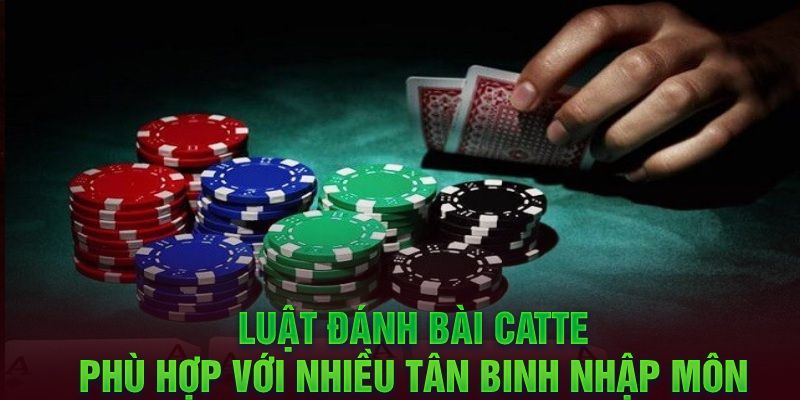 Luật cược bài Catte đơn giản nhất dành cho tân thủ