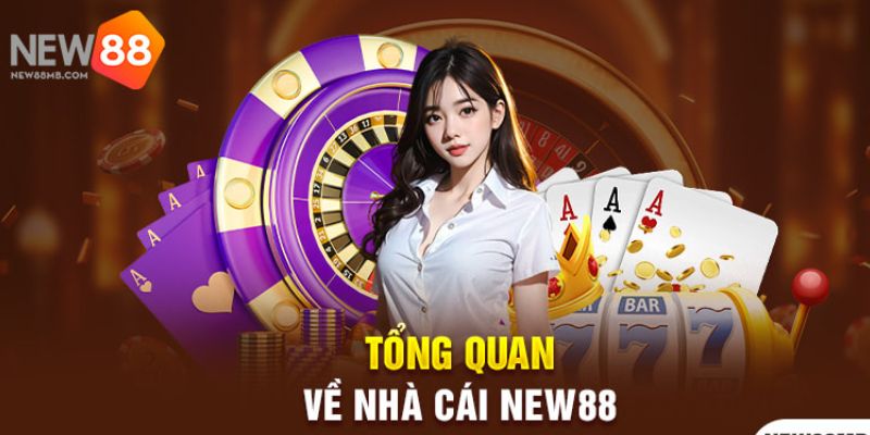 Thông tin chung về New88 