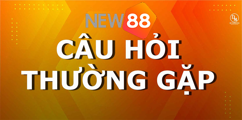 Câu hỏi thường gặp về New88